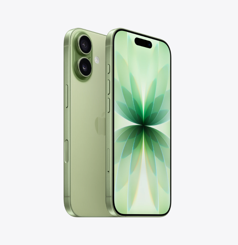 iPhone 17 256gb Salvia Usato Garanzia Apple residua Batteria 100%